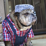 Entry image for Dale