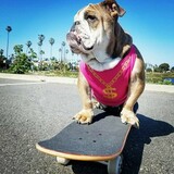 Entry image for Nelly