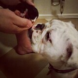 Entry image for Betty 