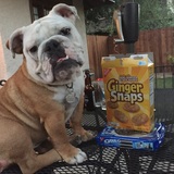 Entry image for Betty 