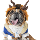 Entry image for Bentley the Beast