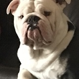 Entry image for Booger