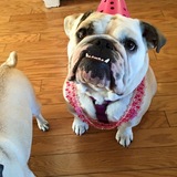 Entry image for Violet