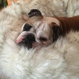 Entry image for Marni