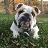 Entry image for Tucker