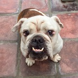 Entry image for Casper