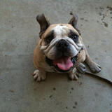 Entry image for Freddie