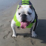 Entry image for Grace