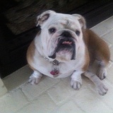 Entry image for Chugger