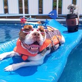 Entry image for Meatball