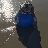 Entry image for Cali