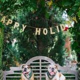 Entry image for Finn & Shaw