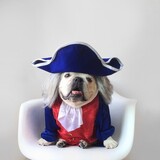 Entry image for Maya