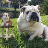 Entry image for  Monster