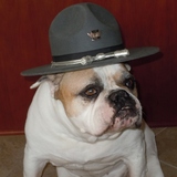 Entry image for Ruby Tundra