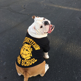 Entry image for Smalls the bully