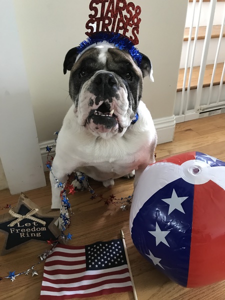 Entry image for Buckwild. Clicking this image will show a larger photo