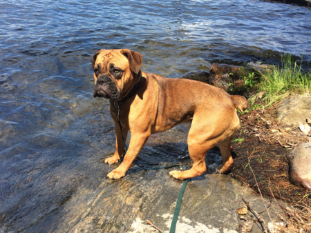 Entry image for Georgia. Clicking this image will show a larger photo