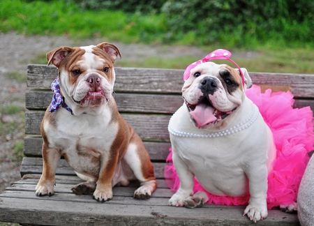 Entry image for Sandy & Rupert. Clicking this image will show a larger photo