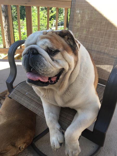 Entry image for Chunk. Clicking this image will show a larger photo