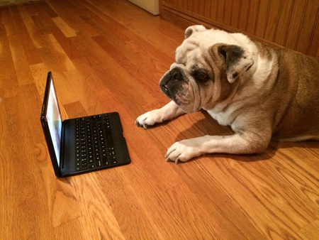 Entry image for Miss Stella Beach. Clicking this image will show a larger photo