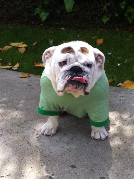 Entry image for Eve. Clicking this image will show a larger photo