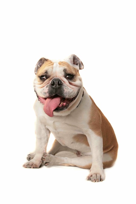 Entry image for Katie. Clicking this image will show a larger photo