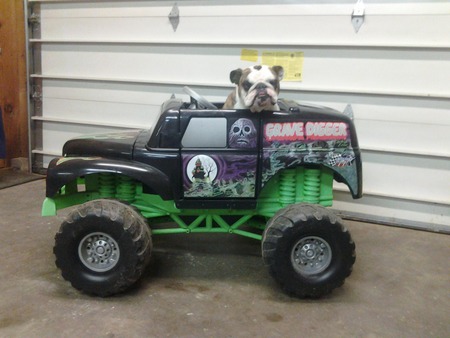 Entry image for Madeline. Clicking this image will show a larger photo