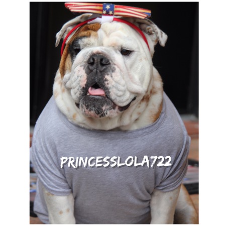 Entry image for Lola. Clicking this image will show a larger photo