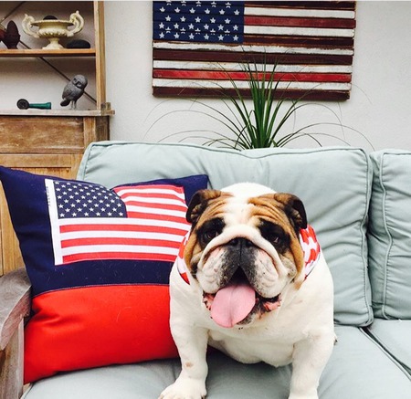 Entry image for Sherlock Holmes. Clicking this image will show a larger photo