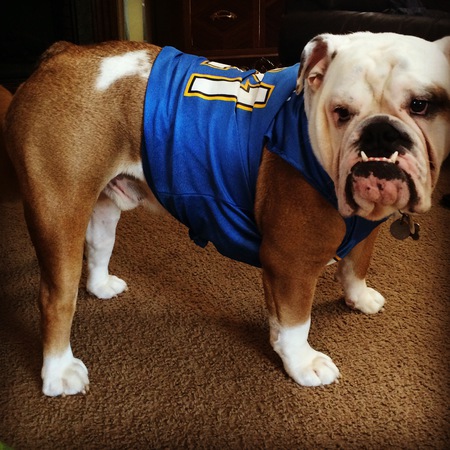 Entry image for Bentley. Clicking this image will show a larger photo