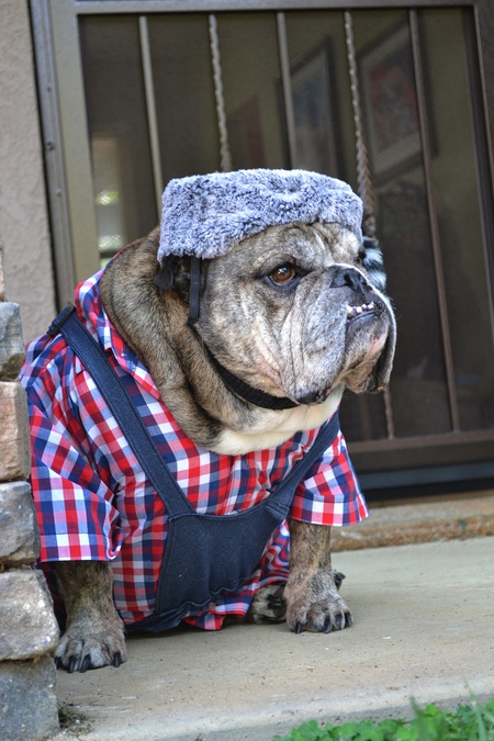 Entry image for Dale. Clicking this image will show a larger photo