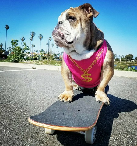 Entry image for Nelly. Clicking this image will show a larger photo