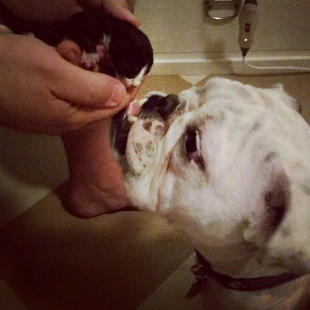 Entry image for Betty . Clicking this image will show a larger photo