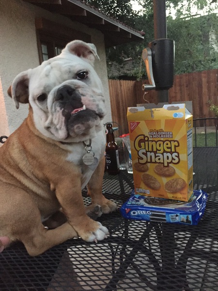 Entry image for Betty . Clicking this image will show a larger photo