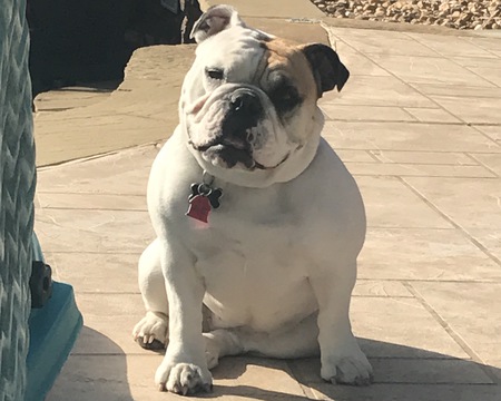 Entry image for Boogzy. Clicking this image will show a larger photo