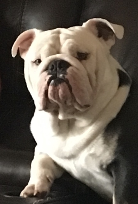 Entry image for Booger. Clicking this image will show a larger photo