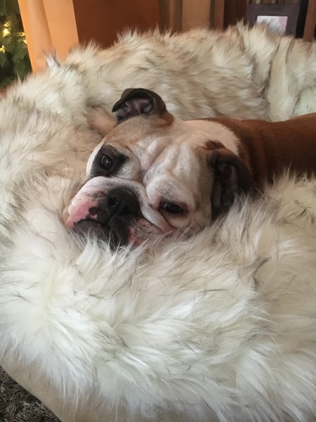 Entry image for Marni. Clicking this image will show a larger photo