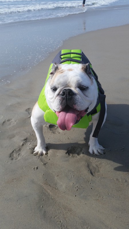 Entry image for Grace. Clicking this image will show a larger photo