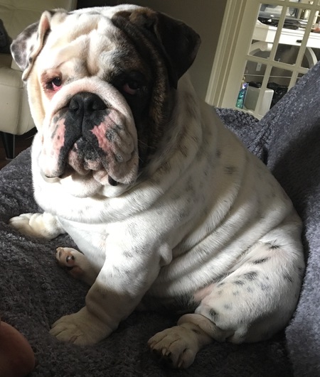 Entry image for Lemmy "Iron Fist" Hill aka Doodle. Clicking this image will show a larger photo