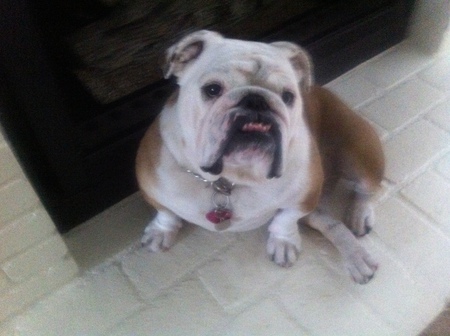 Entry image for Chugger. Clicking this image will show a larger photo