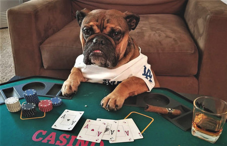 Entry image for Mac. Clicking this image will show a larger photo