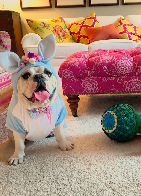 Entry image for Gemma. Clicking this image will show a larger photo