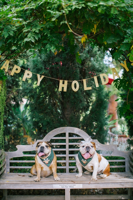 Entry image for Finn & Shaw. Clicking this image will show a larger photo