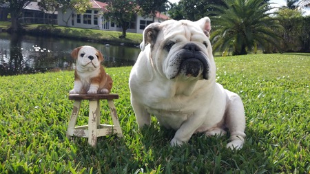 Entry image for  Monster. Clicking this image will show a larger photo