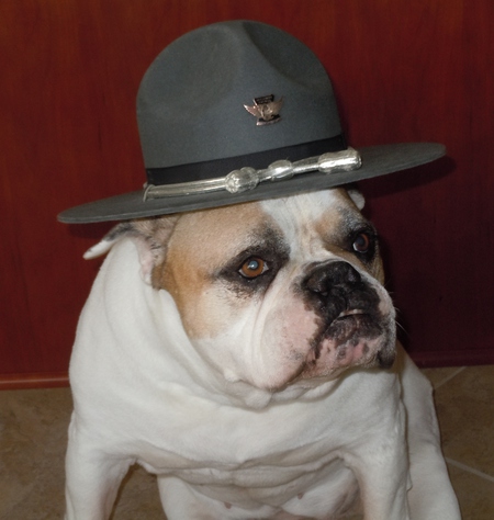 Entry image for Ruby Tundra. Clicking this image will show a larger photo