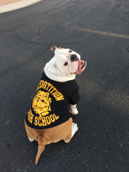 Entry image for Smalls the bully. Clicking this image will show a larger photo