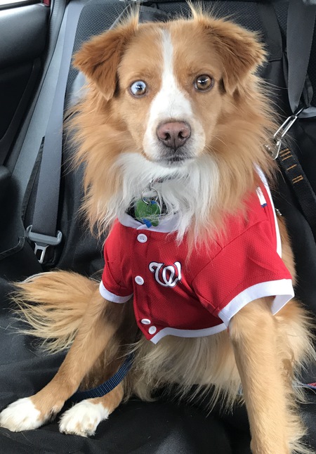 Zeke