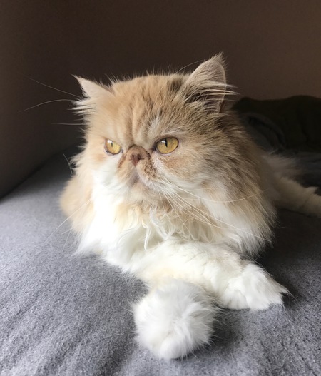 Winifred