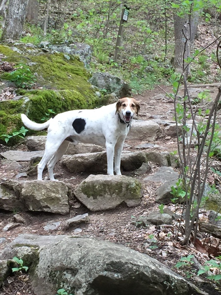 Chester